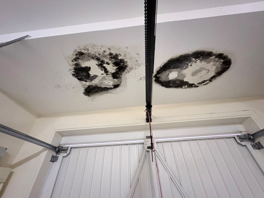 Ceiling with water damage and black mould patches